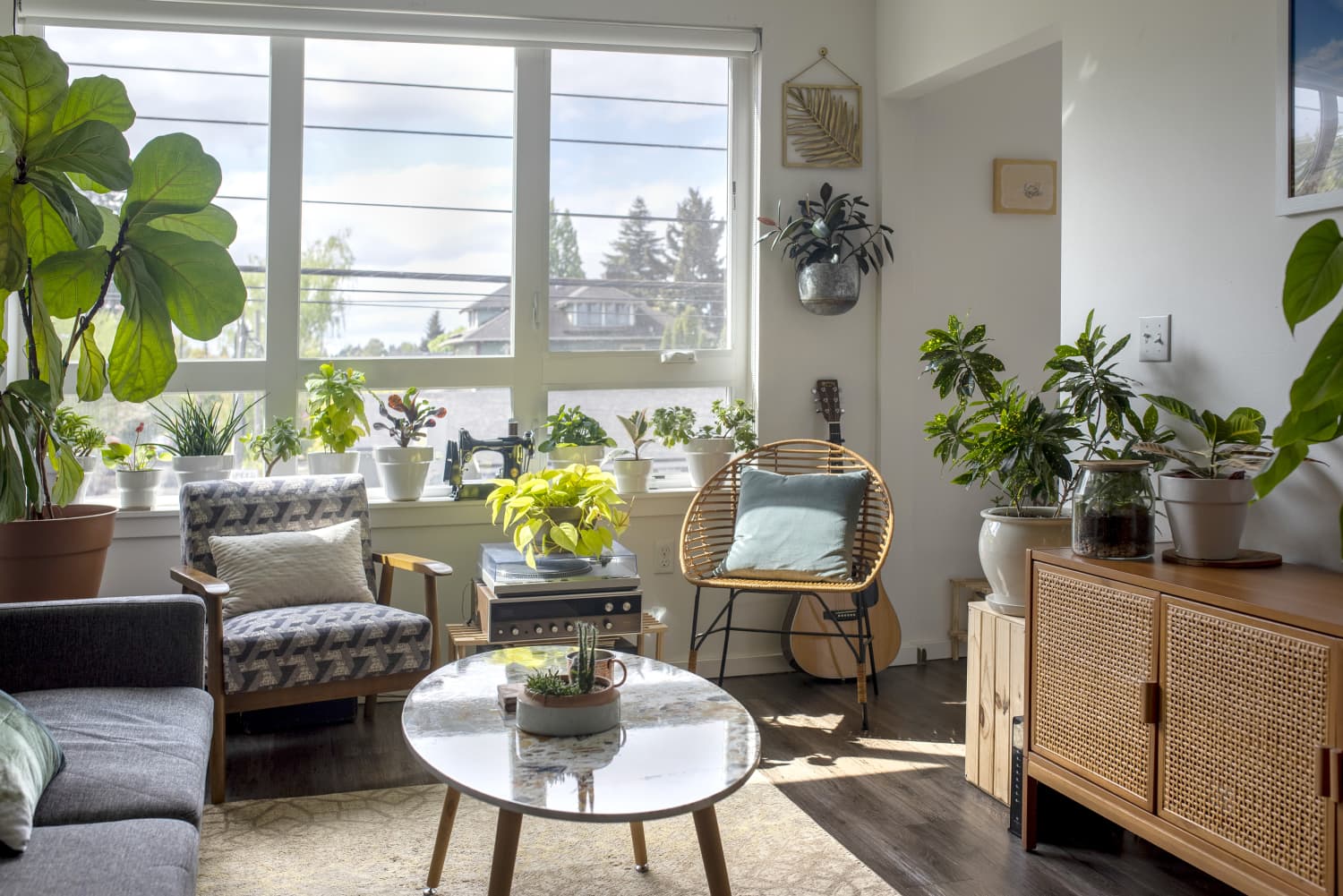 Portland Rental Apartment Filled with Plants Apartment Therapy